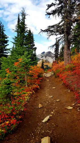 GARIBALDI LAKE - Taylor Meadows