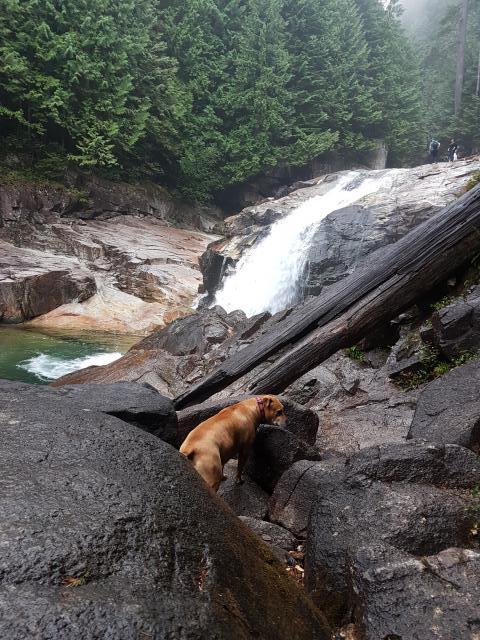 Lower Falls Trail