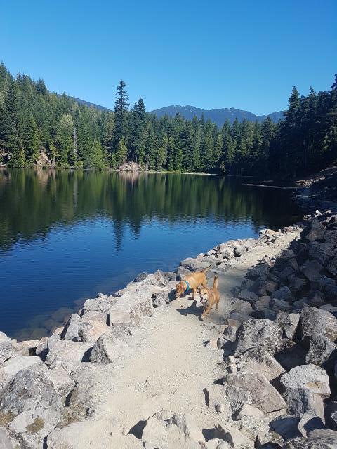 Loggers Lake