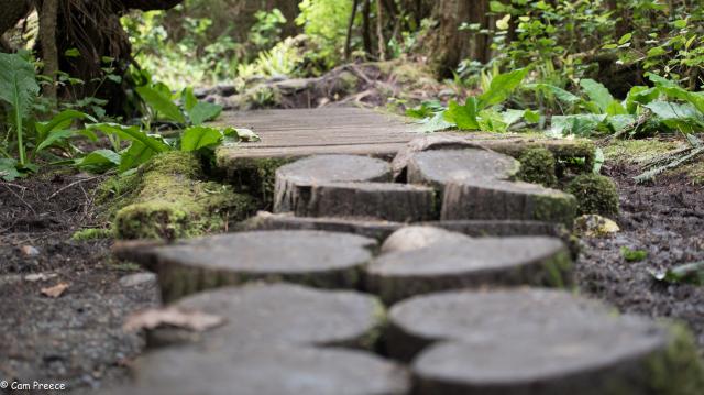 Beach Loop Trail