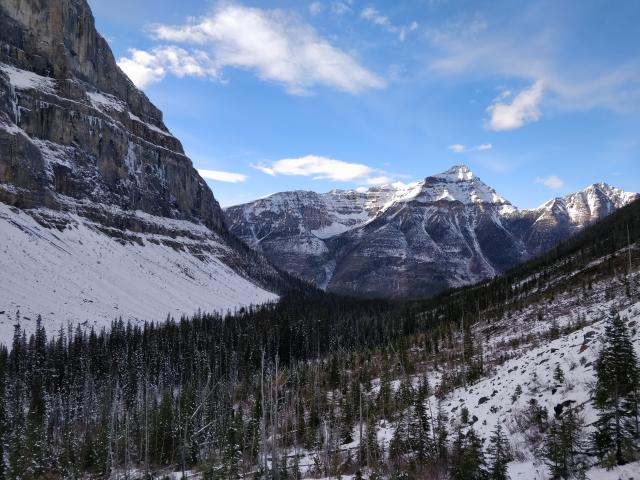 Stanley Glacier Trail