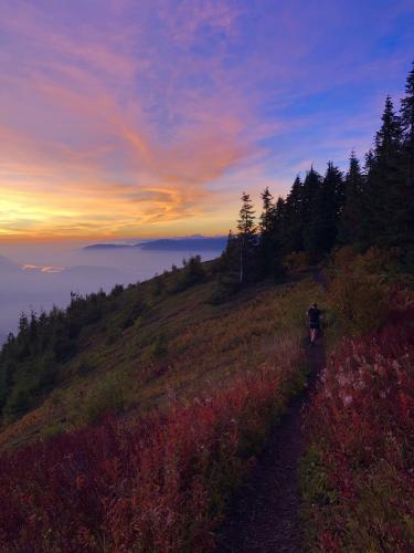 Elk Mountain Trail