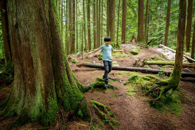 BADEN POWELL TRAIL