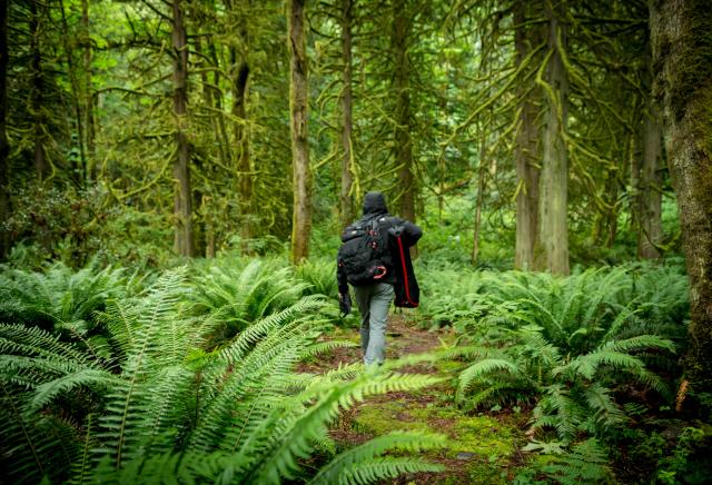 BADEN POWELL TRAIL