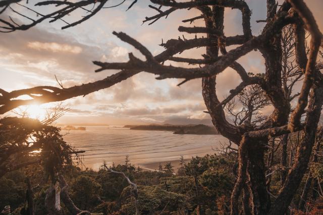 Cox Bay Lookout