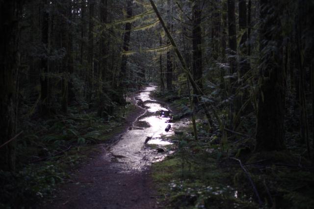 Nymph Falls Nature Park