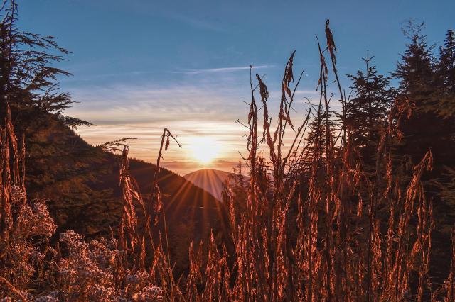 St. Marks Summit