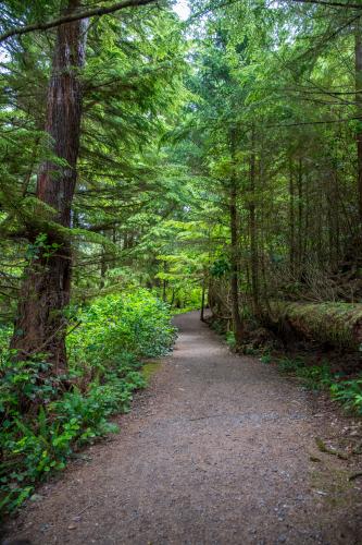 Wild Pacific Trail