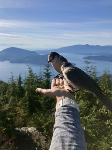 Bowen Lookout Trail