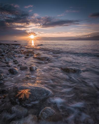 Foreshore Trail