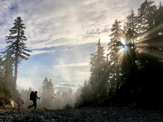 Mt. Seymour Trail