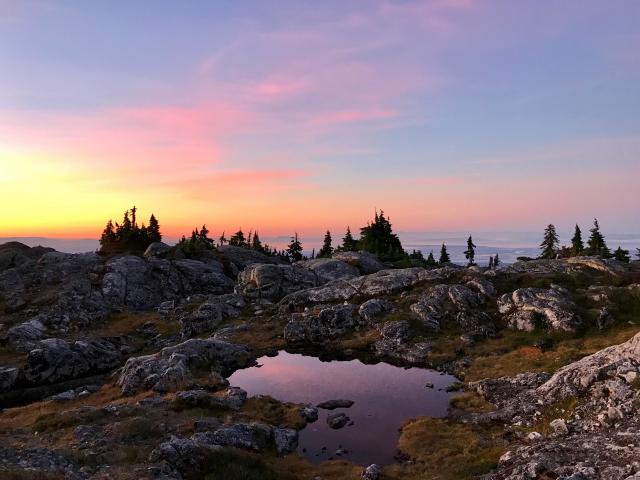 Mt. Seymour Trail