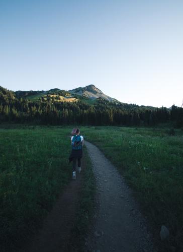 Panorama Ridge Trail