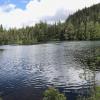 Petgill lake trail