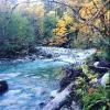 Lynn Valley River Trail