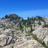 Mt Seymour Trail