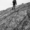 Howe Sound Crest Trail