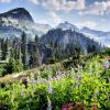 Tricouni peak trail