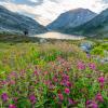 Ring Lake trail