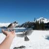 Garibaldi Lake