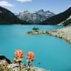 Upper Joffre Lake