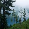 Howe Sound Crest Trail