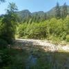 Lynn Valley Regional park