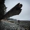 Juan De Fuca Trail