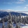 Hollyburn Upper Glades Trail