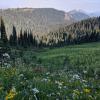 Skyline II Trail