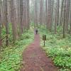 West Coast Trail