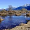 Pitt River Trail