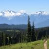 Black tusk trail