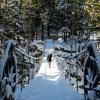 Whistler Train Wreck