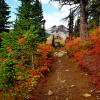 GARIBALDI LAKE - Taylor Meadows