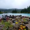 Garibaldi Lake