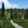 Harmony Lake trail/loop