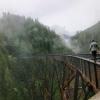 Lander Creek Trestle