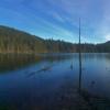 Killarney Creek Trail