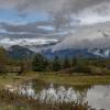 Squamish estuary