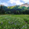 Taylor Meadows onto Black Tusk