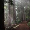 Garibaldi Lake Trail