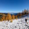 Frosty Mountain