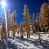 Frosty Mountain