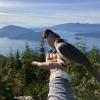 Bowen Lookout Trail