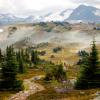 Singing Pass trail