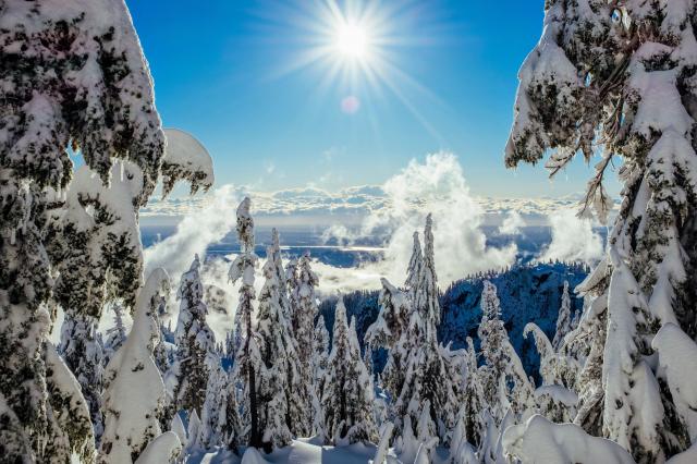 Mt Seymour