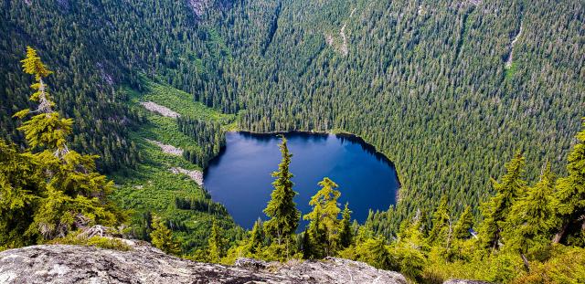 Mount Elsay Hike