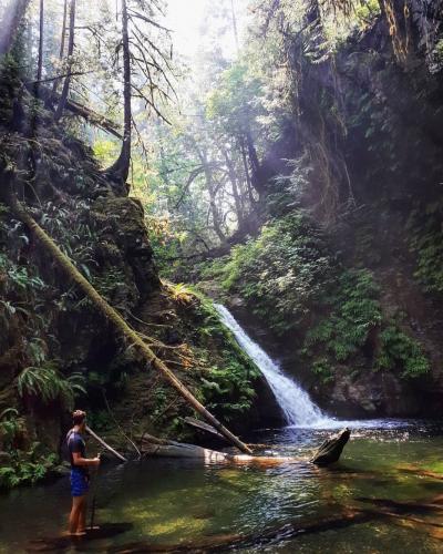 Goldstream Trestle Trail