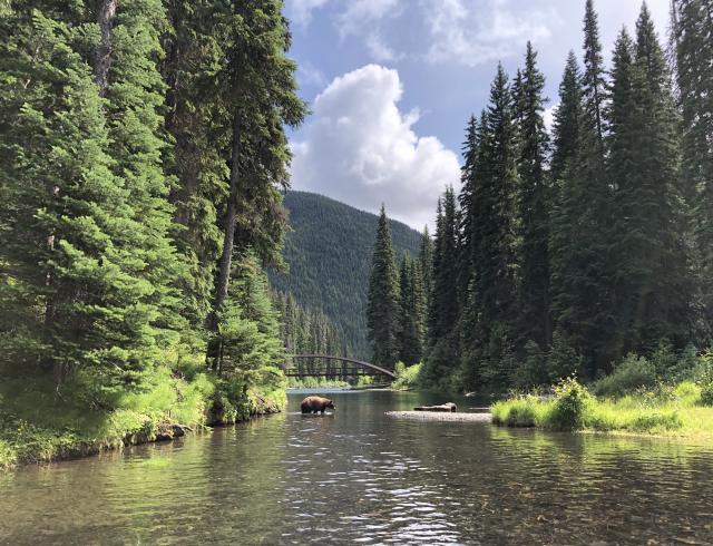 Lightning Lake Loop